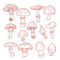 Set of poisonous mushroom fly agarics. Doodle illustration. Line drawing