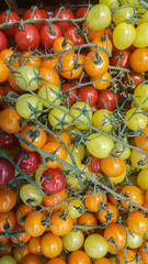 Colorful and fresh cherry tomatoes.