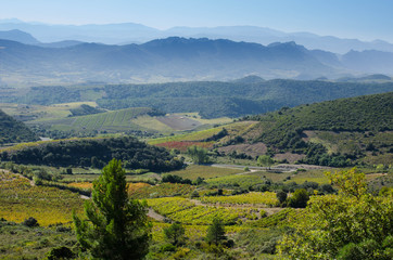 Landschaft im Aude im Oktober