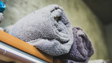 Professional care for pets in spa salon.  pet care.consept