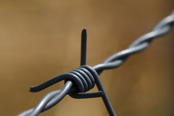 Stacheldraht