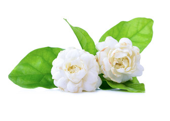 Jasmine flower fragrance isolated on with background.