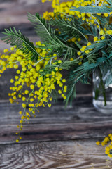 Floral background: a branch of Mimosa on the natural wooden background, copyspace for your text: mockup, background for greetings on mother's day, international women's day, soft focus