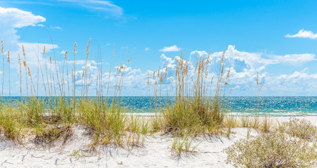sunny beach with sand dunes and blue sky