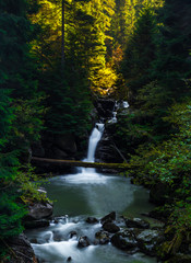 Obraz premium Beautiful waterfall in autumn forest, deep forest waterfall. Waterfall deep in the forests of the National Park.