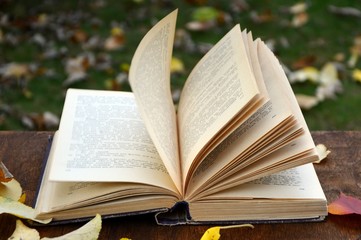 Autumn wind leafs through the pages of the book and showered leaves.