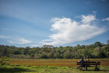 Obraz premium A view from a brazilian lake. This photograph was taken in Rio Claro, São Paulo, Brazil in 2018.