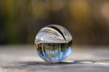 lensball in autumn reflecting nature