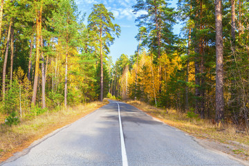 Fototapeta premium Road, highway in autumn forest
