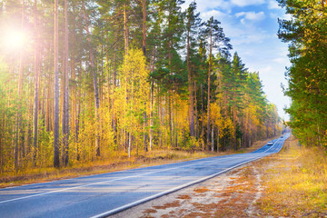 Fototapeta premium Road, highway in autumn forest