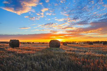 Hay bales on the field after harvesting illuminated by the last rays of setting sun. 