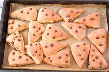 Schoko-Brötchen