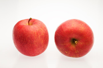 リンゴ　白抜き　早生ふじ　青森県産