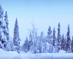 Horizontal winter Lapland landscape background