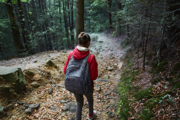 Fototapeta premium woman hiker in a red jacket walks in the autumn forest