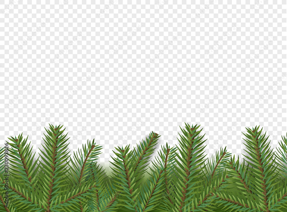 Aufkleber christmas vector decorations. border with evergreen pine branches isolated on transparent background