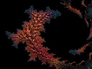 Fototapeta premium Crocodile