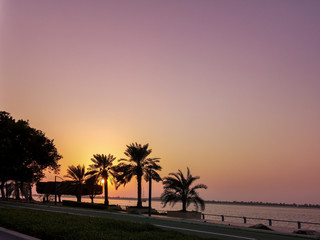 Fototapeta na wymiar Beautiful sunset silhouette photo of palm trees - orange and purple sky
