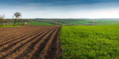 Landscape of plowed garden in spring time. agricultural scenic view with garden-beds. Plowing the ground before sowing.