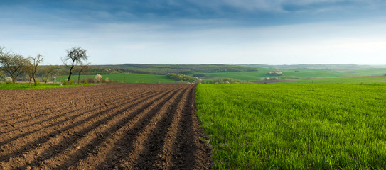 Landscape of plowed garden in spring time. agricultural scenic view with garden-beds. Plowing the ground before sowing.