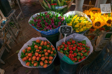 Flowers at the Flower Market in Nice, France