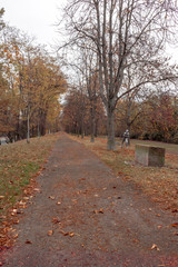 Herbst Landschaft in Frankenthal 