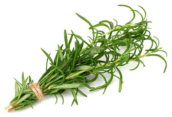 green fresh rosemary isolated on white background