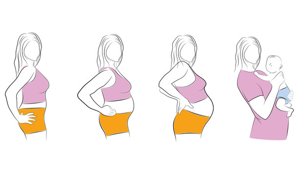 stages from pregnancy to childbirth. vector illustration.