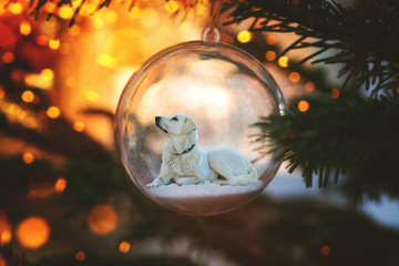 Weisser Hund in Weihnachtskugel