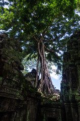 Temple of Cambodia