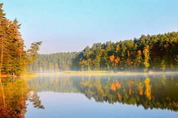 jesienny poranek nad jeziorem Pluszne - obrazy, fototapety, plakaty