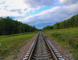Railway. railway tracks among green forest and grass. empty rails without train and people.