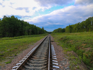 Fototapeta na wymiar Railway. railway tracks among green forest and grass. empty rails without train and people.