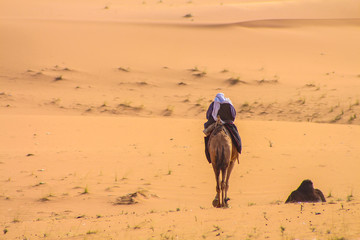 Arabian shepherd riding a camel in the desert