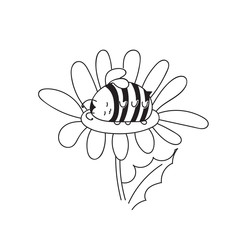 Cute little Bumblebee ink hand drawn sketch vector illustration. Happy fat sleeping in a flower. Bee icon. Print art sketch bees. Bee sign isolated on white background illustration