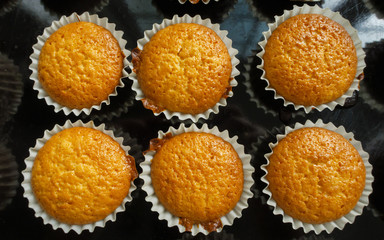Homemade muffins freshly pulled and cooked in the oven