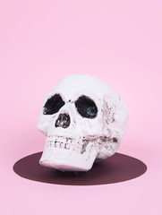 Skull on trendy pastel pink background.