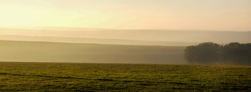 a thin line of green field leading into four rows of misty rolling hills on an orange misty morning two bushes are silhoutted covered in mist on the right on Firle Beacon, East Sussex, United Kingdom