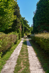 Sentiero alberato di un giardino in stile classico italiano in estate, Stresa, Lago Maggiore, Piemonte