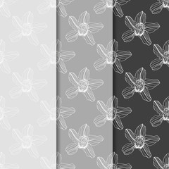 seamless pattern with orchid flower