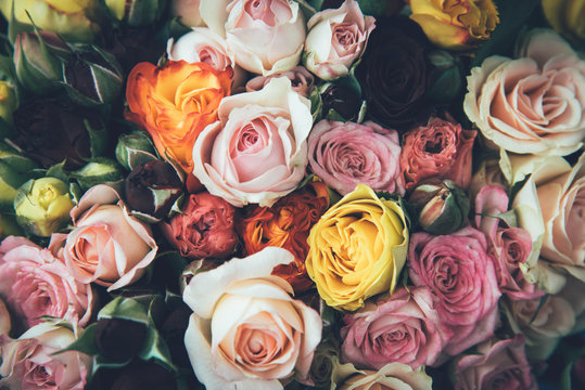 Pink, white and yellow roses background.