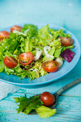 Spring vitamin salad: greens with cherry tomatoes in a blue plate on a blue background