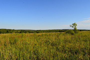 field and blue sky