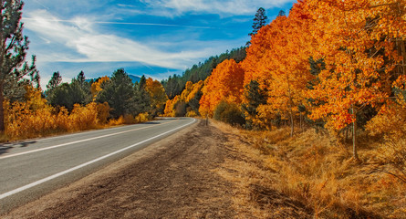 Road to Markleeville