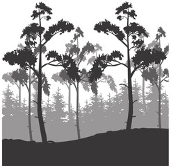  vector illustration silhouette trees