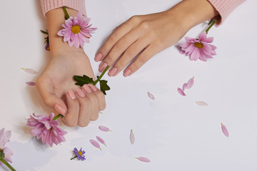 Naklejka na ściany i meble Fashion art skin care of hands and pink flowers in hands of women
