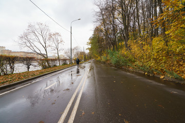 Wet road in the autumn city park