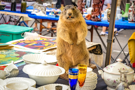 Stuffed Biever at the Naschmarkt of Vienna