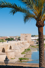 Puente Romano, Torre de la Calahorra, Córdoba, Andalusien, Spanien