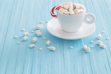 hot chocolate with marshmallow on wooden background